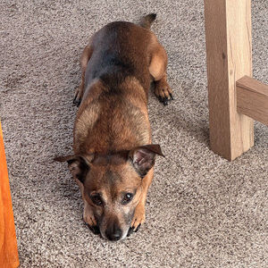 Meet your Posher, Bryson